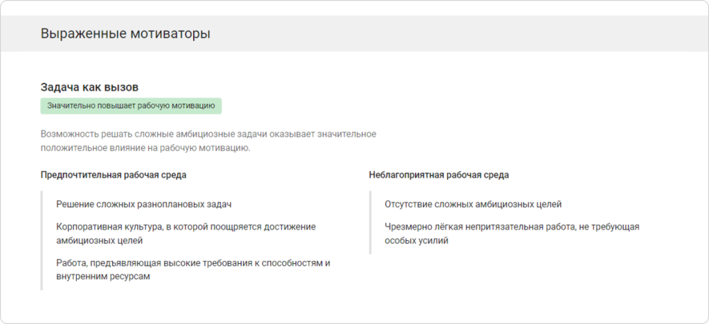 Описательный отчет Мотивационного опросника 2